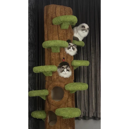 Luxury Cat Tree Looks Like Tree Tall Climbing Frame