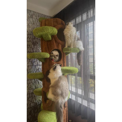 Luxury Cat Tree Looks Like Tree Tall Climbing Frame