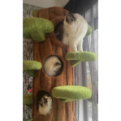 Luxury Cat Tree Looks Like Tree Tall Climbing Frame